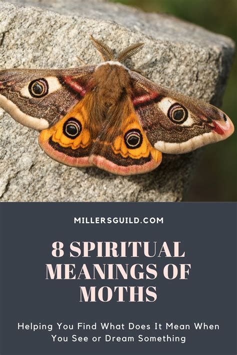 Clymene moth spiritual meaning. Things To Know About Clymene moth spiritual meaning. 